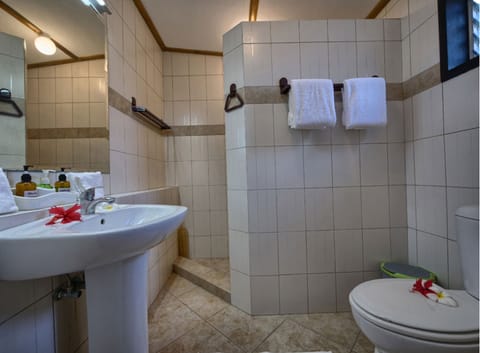 Standard Double Room | Bathroom | Shower, free toiletries, hair dryer, bathrobes