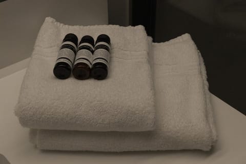 Comfort Double Room | Bathroom | Rainfall showerhead, hair dryer, towels