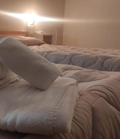 Premium bedding, down comforters, bed sheets