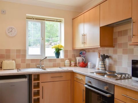 Downstairs kitchen with hob, fridge, toaster, microwave, kettle, and cookware