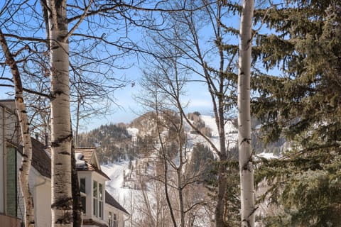 Close to Aspen slopes