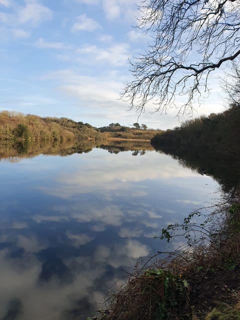 Bosherton Lily Ponds - a fabulous walk that leads to stunning  Broadhaven brach