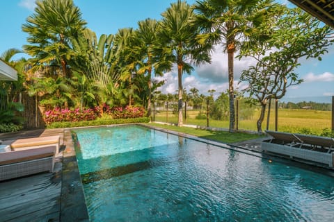 3 Bedroom Luxury Pool Villa Paddy View | Private pool