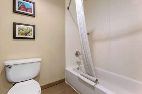 Combined shower/tub, free toiletries, hair dryer, towels