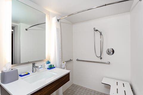 Standard Room, 1 King Bed, Accessible | Bathroom | Combined shower/tub, eco-friendly toiletries, hair dryer, towels