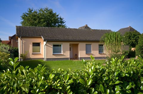 Main view