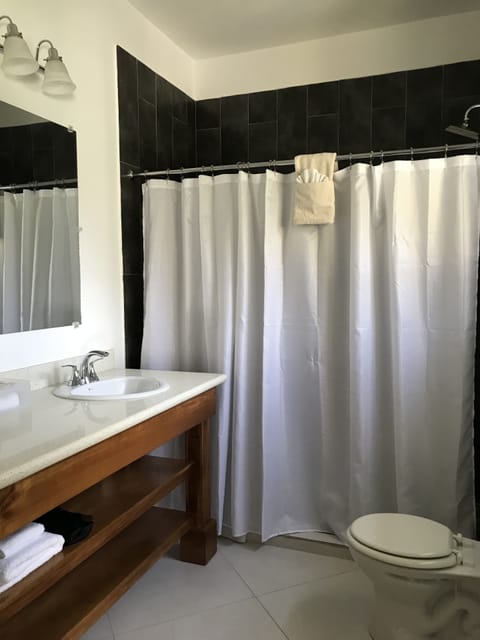 Deluxe Room | Bathroom | Shower, rainfall showerhead, eco-friendly toiletries, hair dryer
