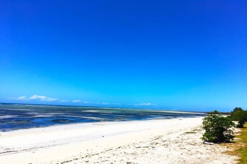 On the beach, white sand