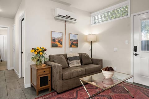 Pull-out couch sleeps 2