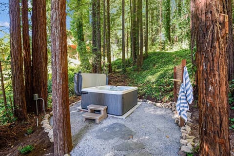The hot tub is set in a fairy ring of redwoods - look up!
