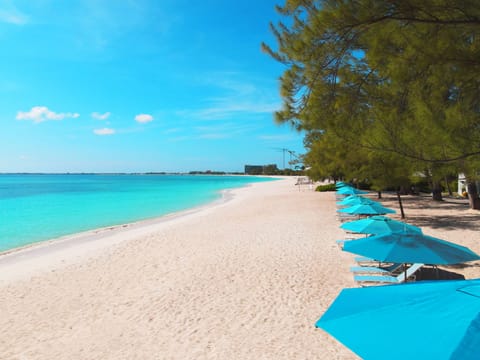 On the beach, white sand, sun loungers, beach umbrellas