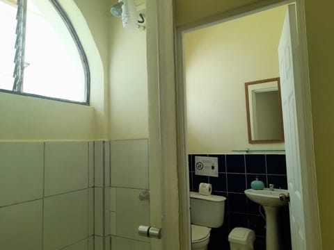 Standard Double Room | Bathroom | Shower, towels, soap, shampoo