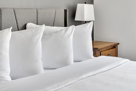 Standard Room, 1 King Bed | Egyptian cotton sheets, premium bedding, down comforters