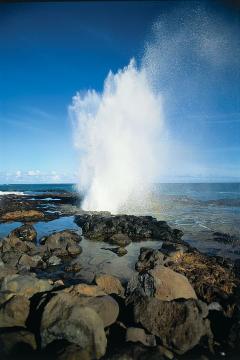 Spouting Horn