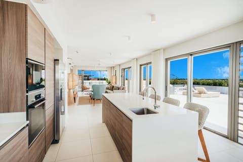 Penthouse, Kitchen | Private kitchen | Full-size fridge, microwave, oven, stovetop