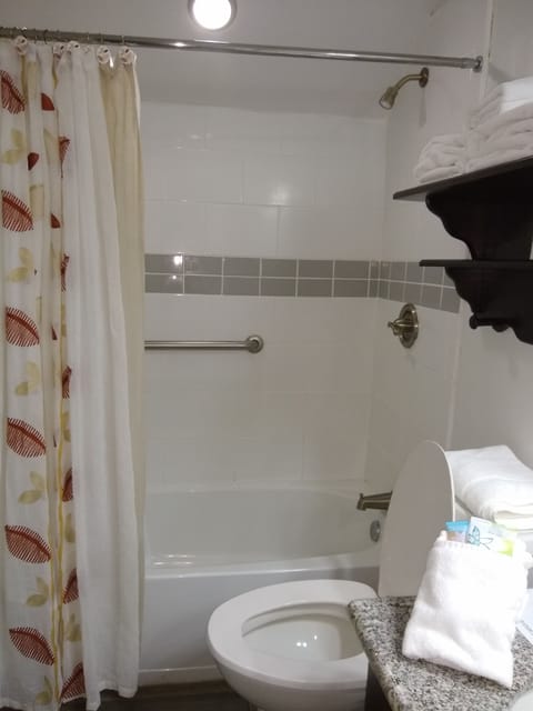 Superior Room, 1 Queen Bed, Courtyard View | Bathroom | Combined shower/tub, free toiletries, hair dryer, towels