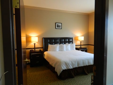 Superior Suite, 1 King Bed, Jetted Tub | Desk, iron/ironing board, free WiFi, bed sheets