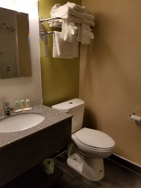 Room, 2 Queen Beds | Bathroom | Shower, eco-friendly toiletries, hair dryer, towels