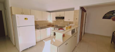 Economy Apartment | Private kitchen | Full-size fridge, oven, stovetop, electric kettle