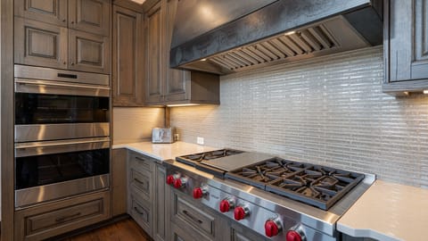 Professional gas range