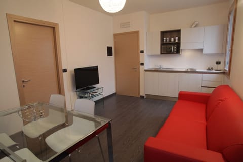 42-inch flat-screen TV with satellite channels, LCD TV