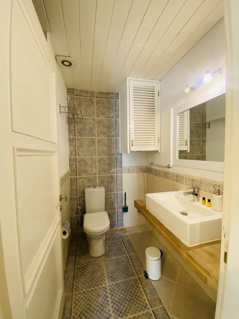 Standard Double Room | Bathroom | Shower, free toiletries, hair dryer, towels