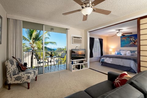 Living room opens to bedroom