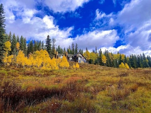 The beautiful Mountain Meadows
