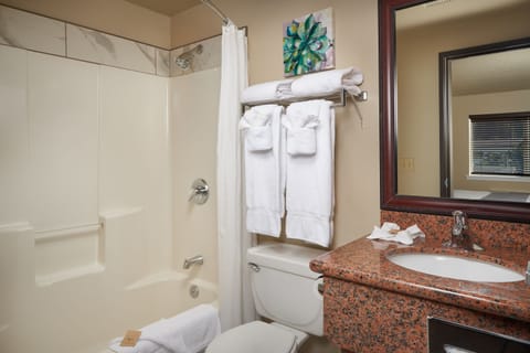 Deluxe Room, 1 Queen Bed | Bathroom | Combined shower/tub, hydromassage showerhead, designer toiletries