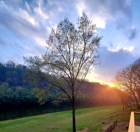 Incredible Sunsets!!