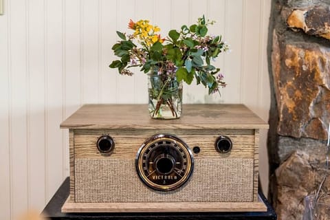 Vinyl player with bluetooth technology