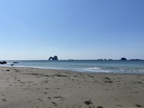 House, Private Bathroom, Ocean View (Byrdies) | Exterior
