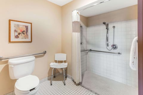 Combined shower/tub, free toiletries, hair dryer, towels