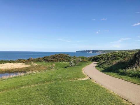 Surrounding area | Arthur’s Place, Filey