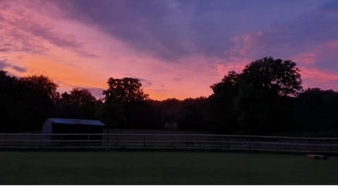 Cottage | Miscellaneous