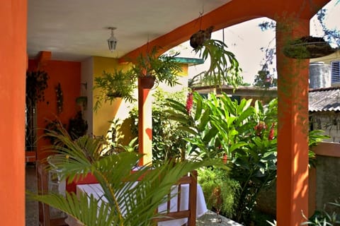 Classic Triple Room | Terrace/patio