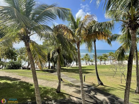 Panoramic Apartment, 1 Bedroom, Terrace, Beach View (Aouara 1318 1er étage ) | Balcony view