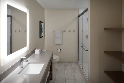 Suite, 1 Bedroom | Bathroom | Shower, hair dryer, towels
