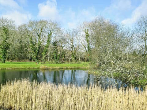 Surrounding area | Ty’n-y-Canol, Johnston, near Haverfordwest