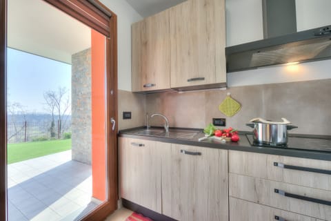 Fully equipped kitchen with access to the terrace