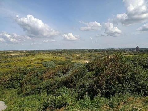 Region [summer] (>5 km)