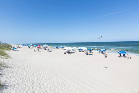 On the beach, beach bar