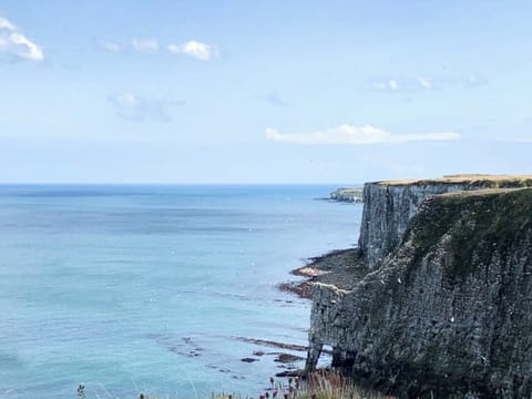 Surrounding area | Sunset Cottage, Filey