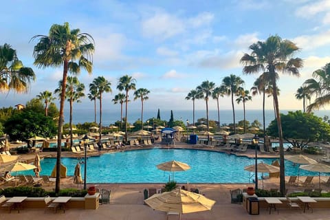 Amazing pool with view of the ocean