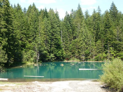 Region [summer] (>5 km)