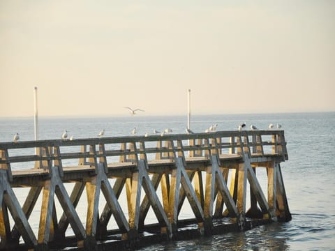 Surroundings [summer] (1-5 km)