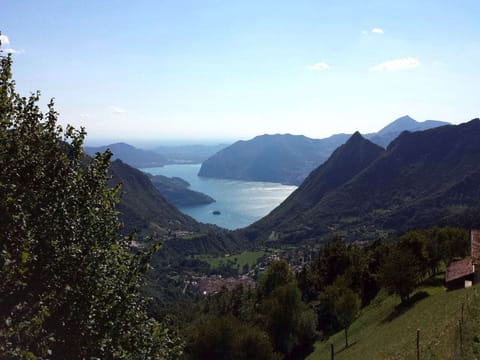 Region [summer] (>5 km)