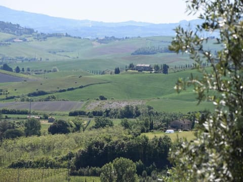 Region [summer] (>5 km)