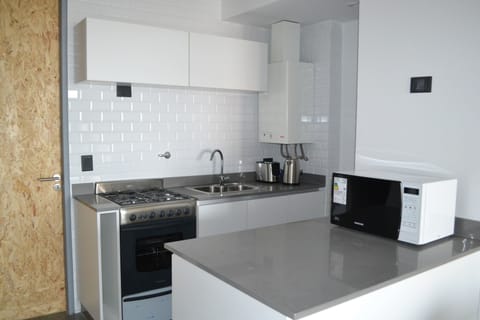 Deluxe Apartment, 1 Bedroom | Private kitchen | Full-size fridge, microwave, oven, stovetop