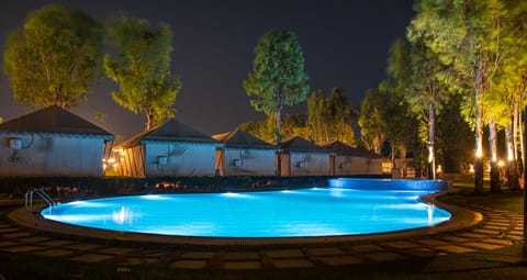 Outdoor pool, sun loungers